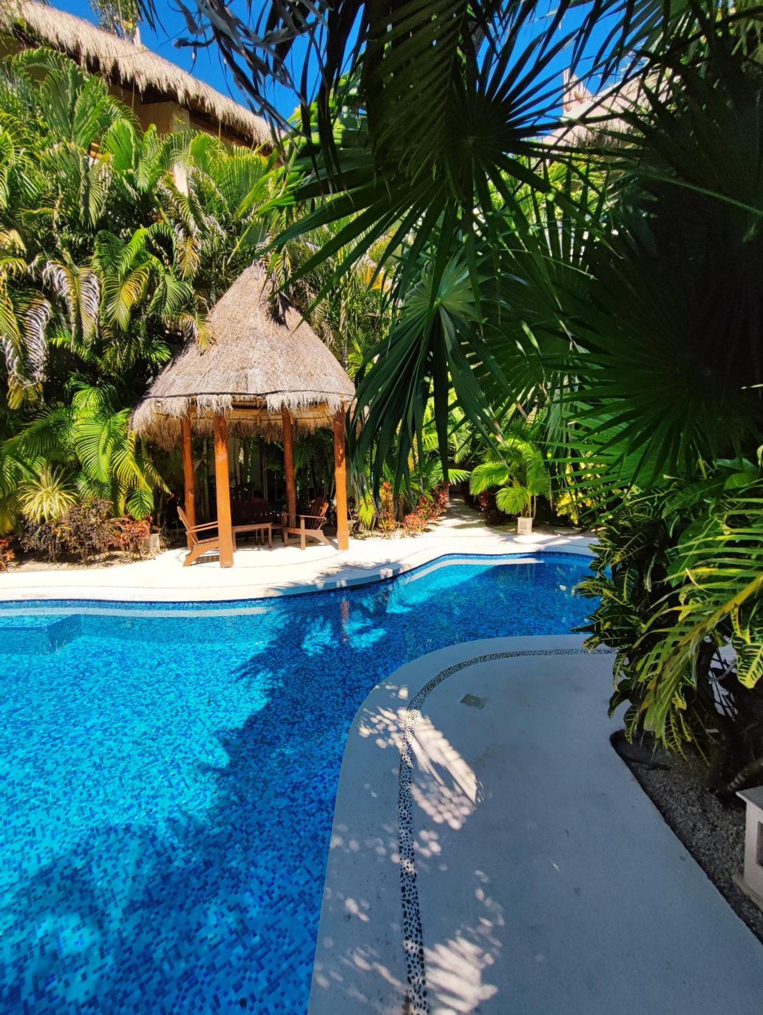 Penthouse With Private Rooftop Terrace, Hot Tub, And Community Pool Tulum