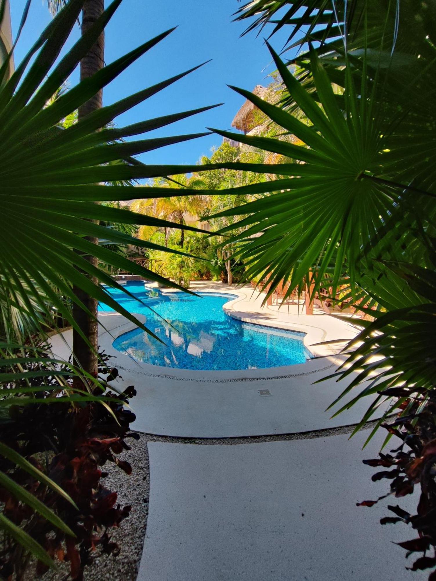 Penthouse With Private Rooftop Terrace, Hot Tub, And Community Pool *