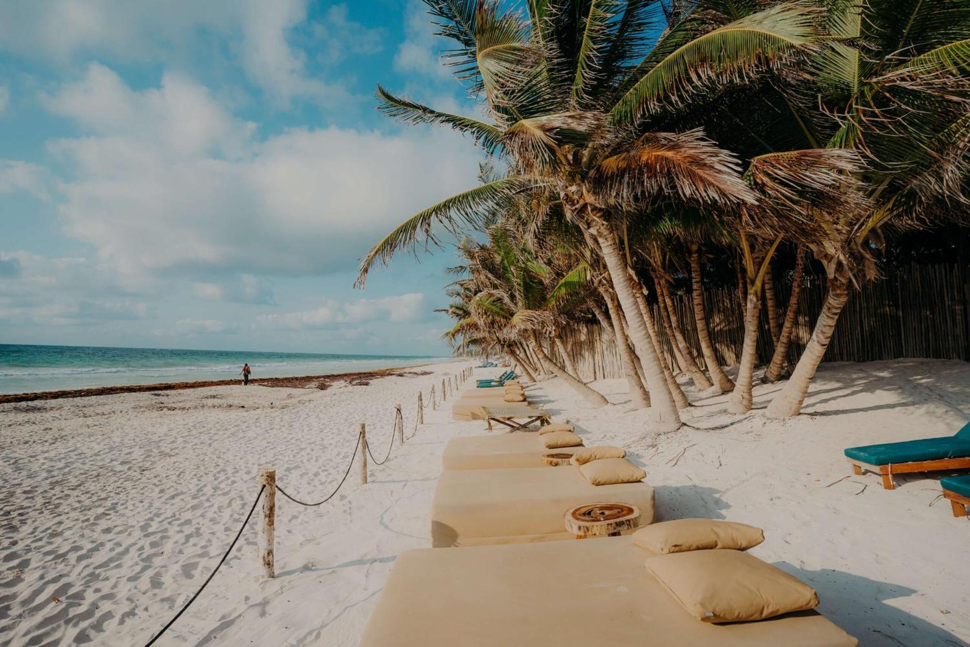 Penthouse With Private Rooftop Terrace, Hot Tub, And Community Pool Tulum