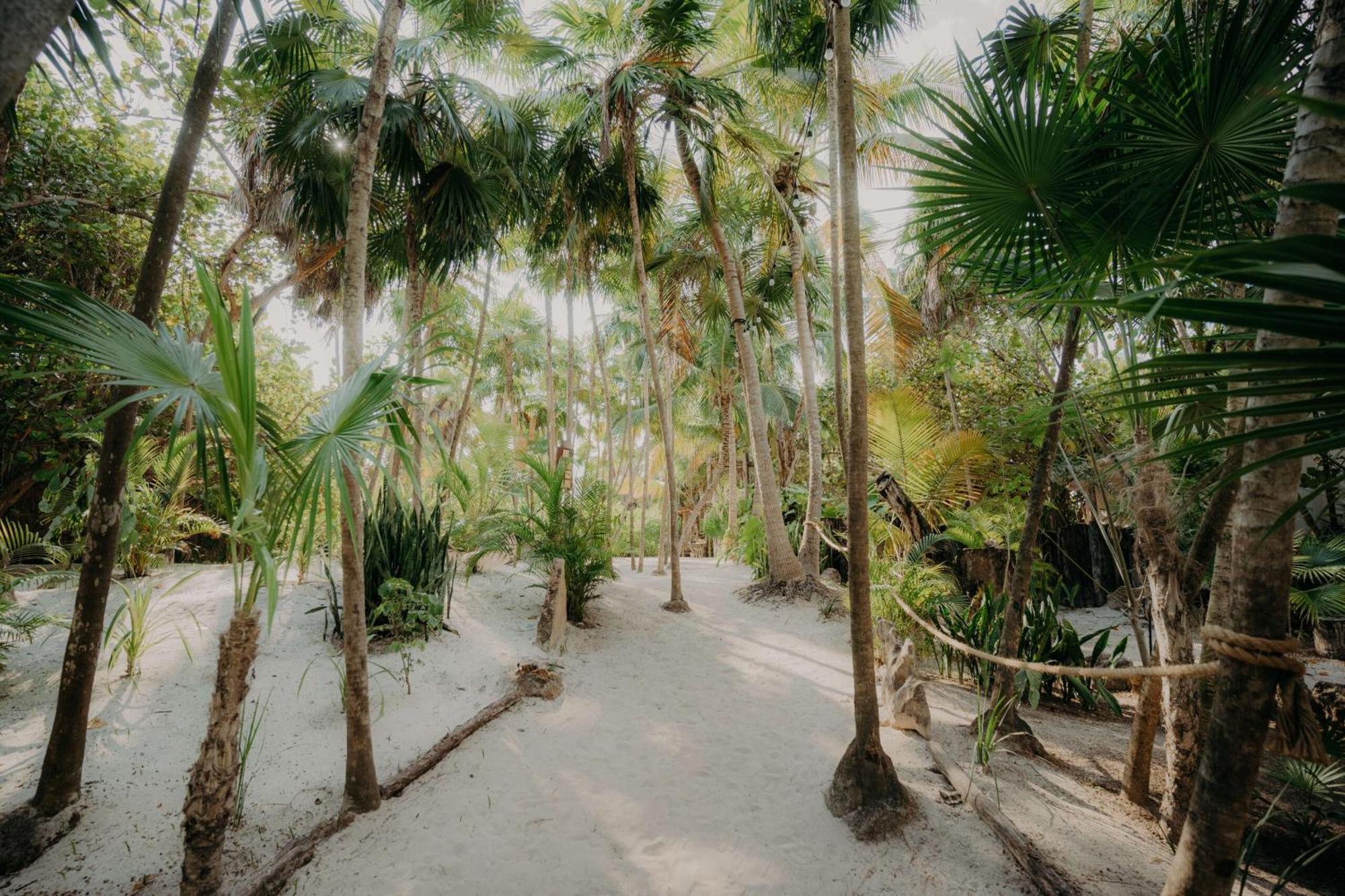 Penthouse With Private Rooftop Terrace, Hot Tub, And Community Pool * Tulum